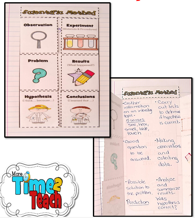 Foldable: Scientific Method